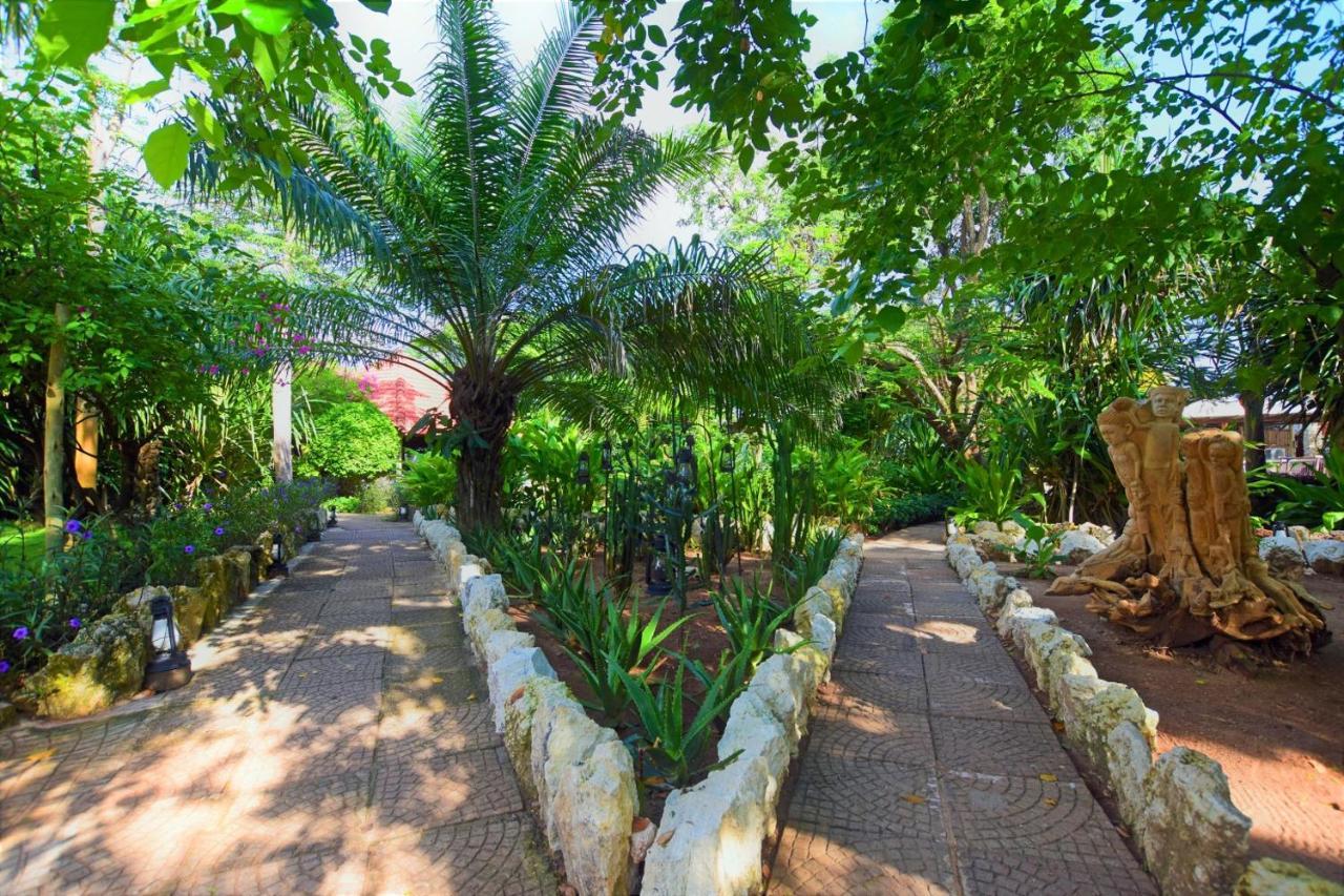 Hotel Mediterraneo Boutique